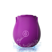 Erodit Siliconen luchtdruk vibrator  Paars, usb oplaadbaar